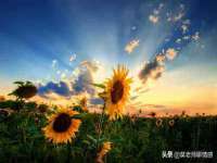 上海巨仁电子商务有限公司