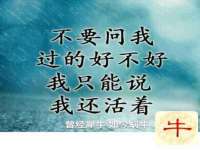 上海巨仁电子商务有限公司