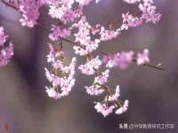 上海巨仁电子商务有限公司