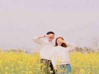 上海巨仁电子商务有限公司