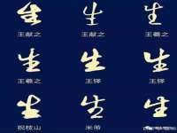上海巨仁电子商务有限公司
