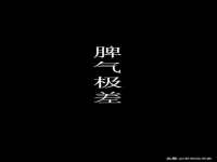 上海巨仁电子商务有限公司