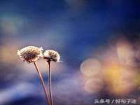 上海巨仁电子商务有限公司