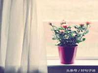 上海巨仁电子商务有限公司