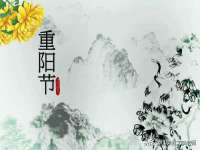 上海巨仁电子商务有限公司
