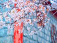 上海巨仁电子商务有限公司