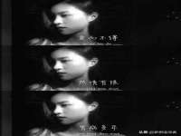 上海巨仁电子商务有限公司