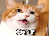 上海巨仁电子商务有限公司