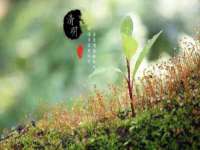 上海巨仁电子商务有限公司