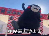上海巨仁电子商务有限公司