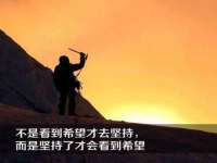 上海巨仁电子商务有限公司