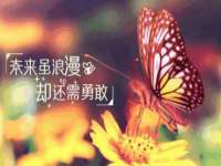上海巨仁电子商务有限公司