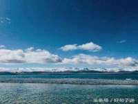 上海巨仁电子商务有限公司