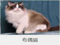 上海巨仁电子商务有限公司