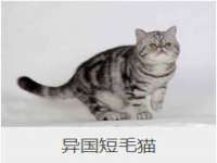 上海巨仁电子商务有限公司