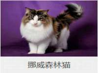 上海巨仁电子商务有限公司