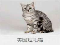 上海巨仁电子商务有限公司