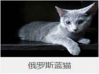 上海巨仁电子商务有限公司