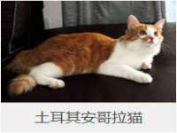 上海巨仁电子商务有限公司