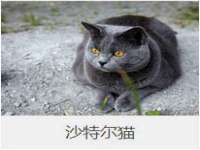 上海巨仁电子商务有限公司
