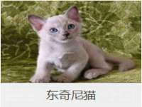 上海巨仁电子商务有限公司