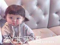 上海巨仁电子商务有限公司