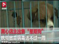 上海巨仁电子商务有限公司