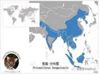 上海巨仁电子商务有限公司