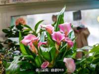 上海巨仁电子商务有限公司