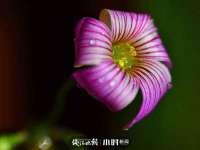 上海巨仁电子商务有限公司