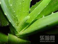 上海巨仁电子商务有限公司