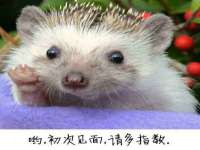 上海巨仁电子商务有限公司