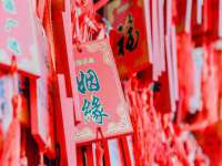 上海巨仁电子商务有限公司