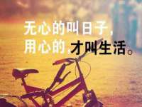 上海巨仁电子商务有限公司