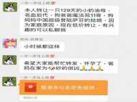 上海巨仁电子商务有限公司