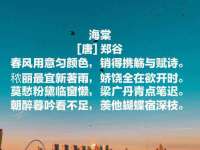 上海巨仁电子商务有限公司