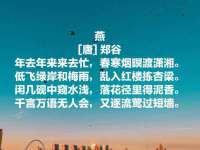 上海巨仁电子商务有限公司
