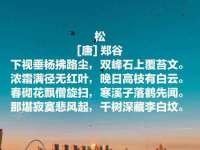 上海巨仁电子商务有限公司