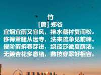 上海巨仁电子商务有限公司