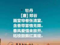 上海巨仁电子商务有限公司