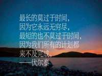上海巨仁电子商务有限公司