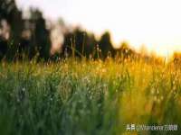 上海巨仁电子商务有限公司