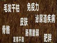 上海巨仁电子商务有限公司