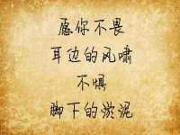 上海巨仁电子商务有限公司