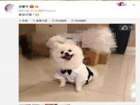 上海巨仁电子商务有限公司