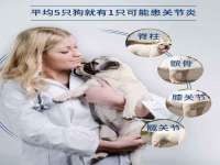 上海巨仁电子商务有限公司