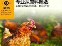 上海巨仁电子商务有限公司