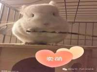 上海巨仁电子商务有限公司