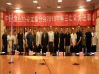 上海巨仁电子商务有限公司