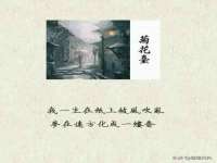 上海巨仁电子商务有限公司